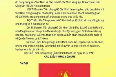 Điều Lệ Đội (Ban hành kèm theo Quyết định số 213- QĐ/TWĐTN-CTTN ngày 27 tháng 7 năm 2023 của Ban Chấp hành Trung ương Đoàn khóa XII).